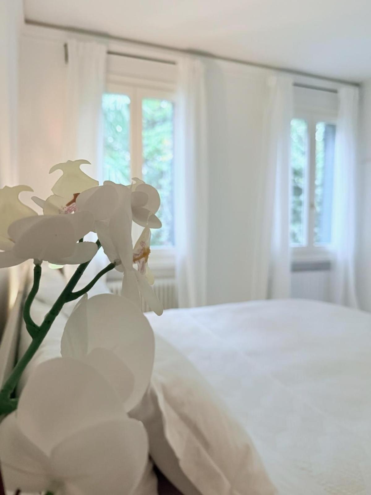 Garden Lodge By Veneto Villa Villa Osti Экстерьер фото